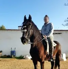 Stine, 31